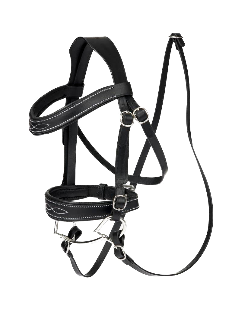 LeMieux Hobby Horse Competition Bridle Black First Choice Horse Supplies