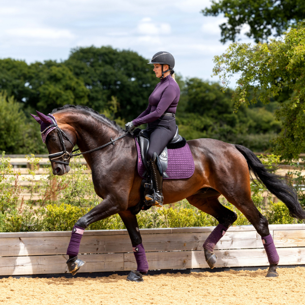 Stallion Fig Fig Collection – First Choice Horse Supplies