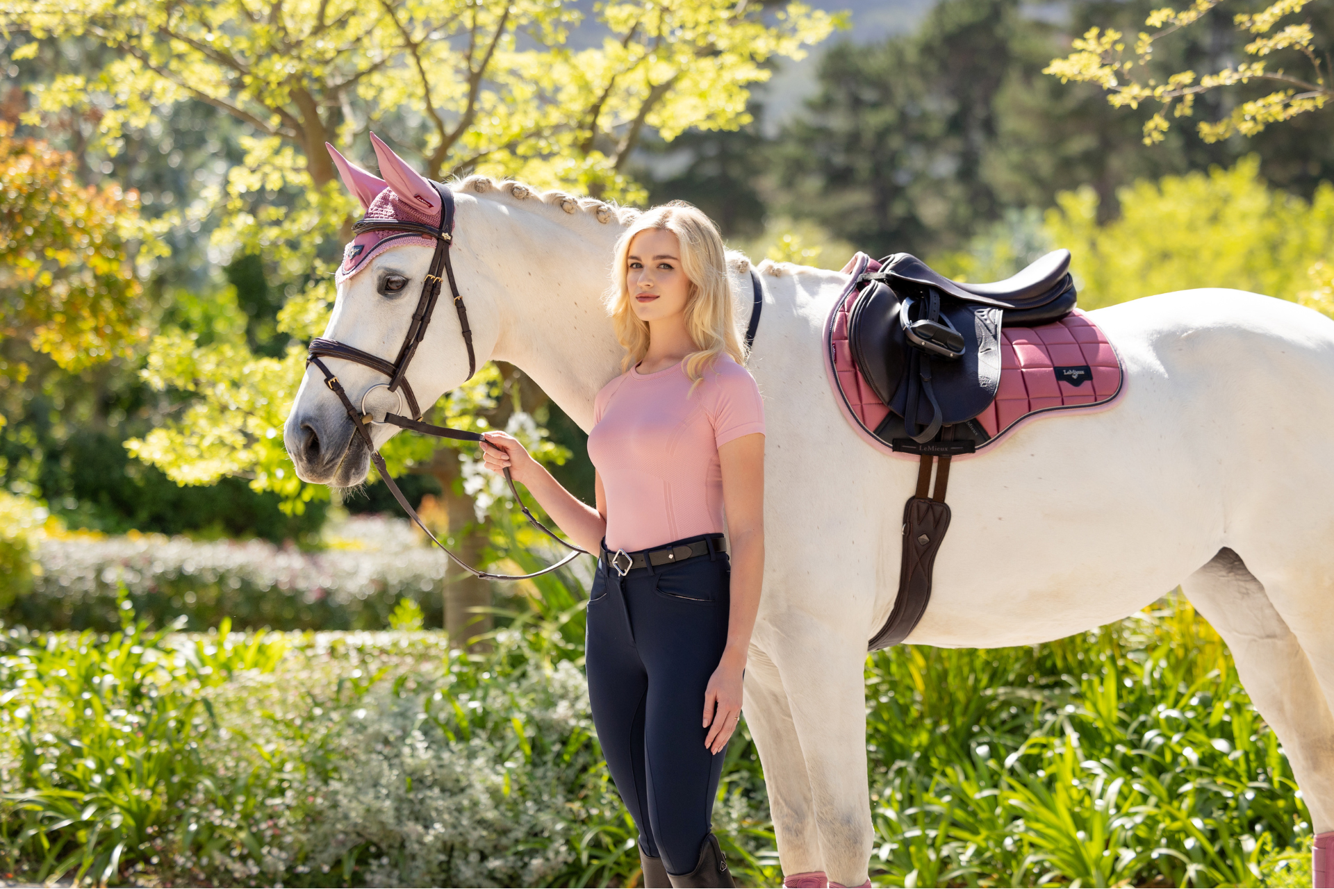 Horse supply websites discount