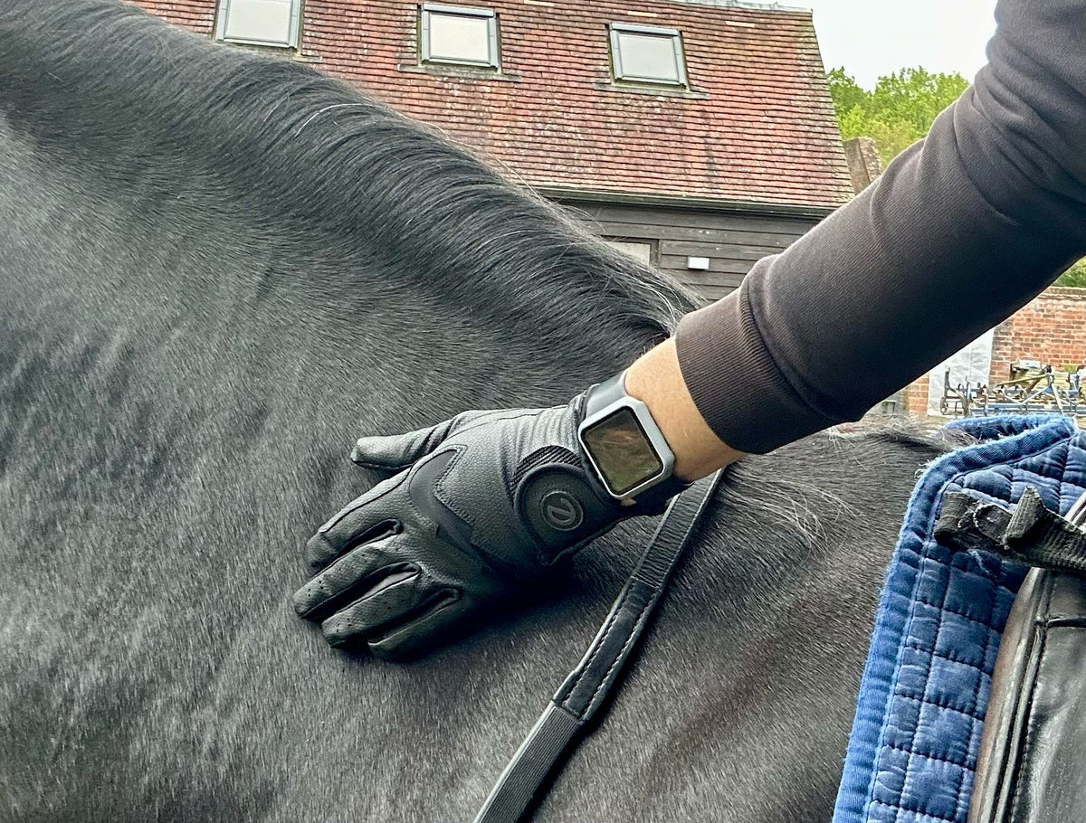 Guanti Da Equitazione EGlove GripPro Lite 2024: Leggeri, Traspiranti E Touchscreen