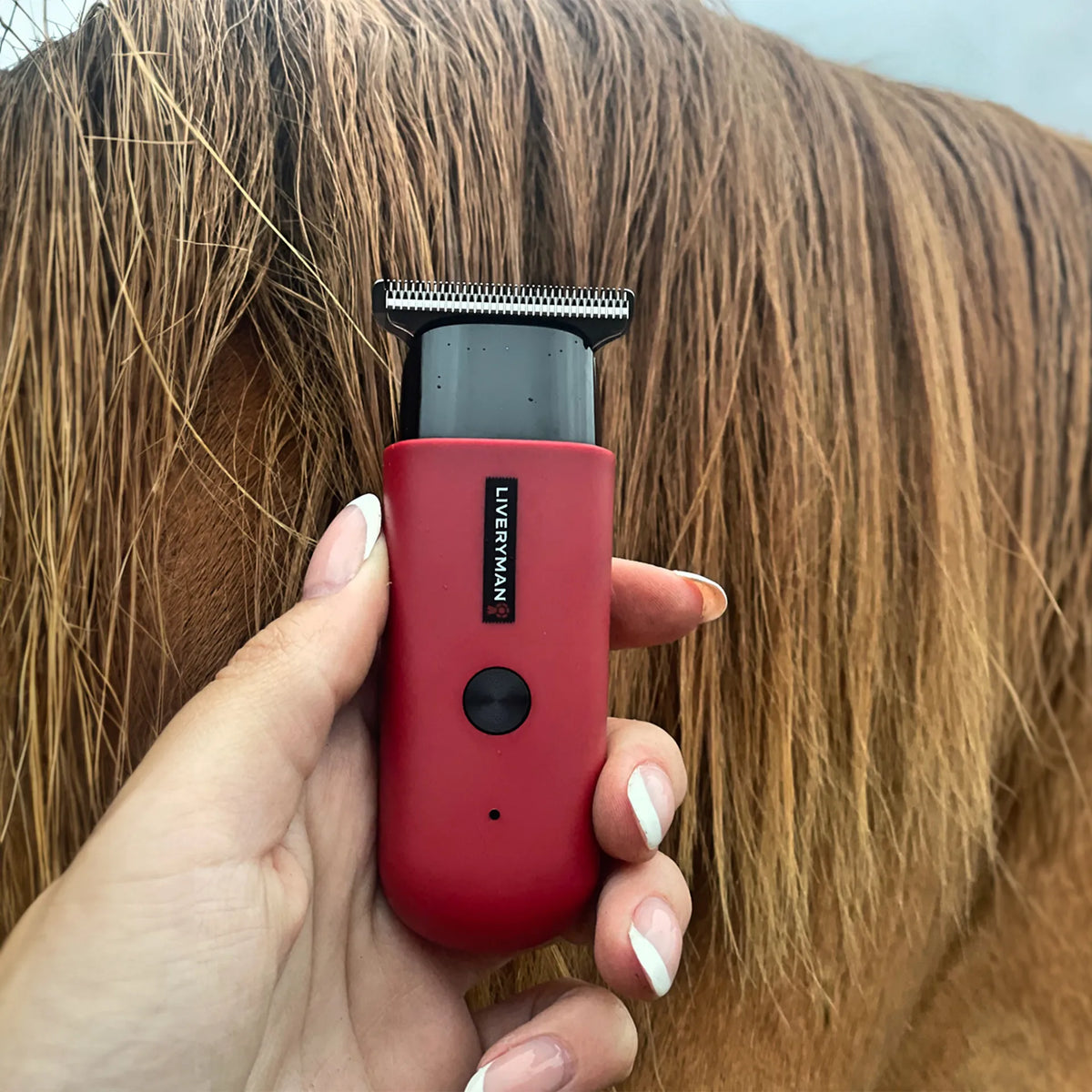 Liveryman Robin Trimmer – First Choice Horse Supplies