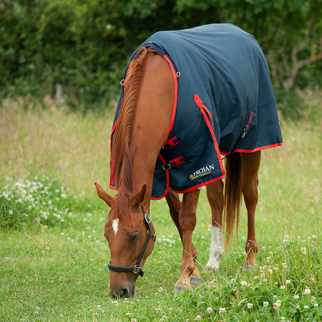 Heavyweight Rugs Turnout Rugs for Horses | Lightweight to Heavyweight | 1st Choice Horse ...
